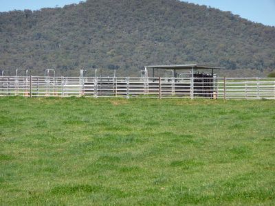 Jewell Road, Berringama