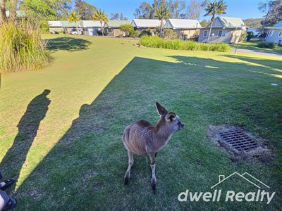 16 / 33 BERRARA ROAD, Berrara