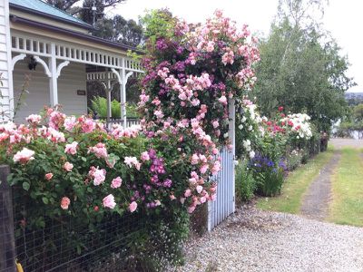 7072  Channel Highway, Gardners Bay