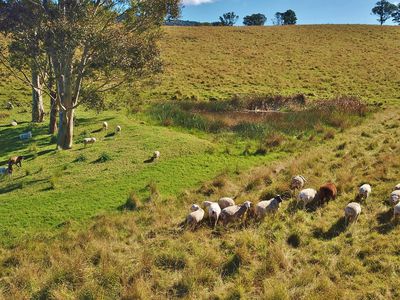 491 Back Creek Road, Lochiel