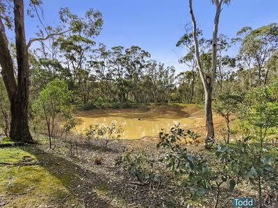 54 Heathcote-Nagambie Road, Heathcote