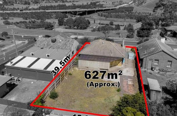 60 Sunset Boulevard, Jacana