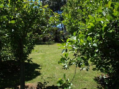 29 Bakers Creek Road, Lucaston