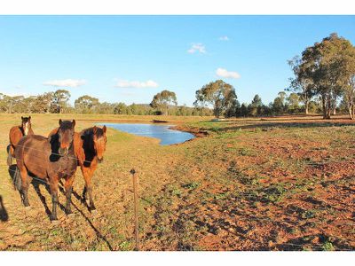 1382 Goohli Road, Gunnedah
