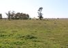 696 Back Trundle Road, Parkes