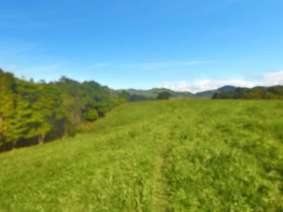 Lot 7, 253 Seres Road, Mena Creek