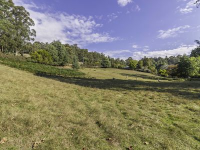 210 Nicholls Rivulet Road, Oyster Cove