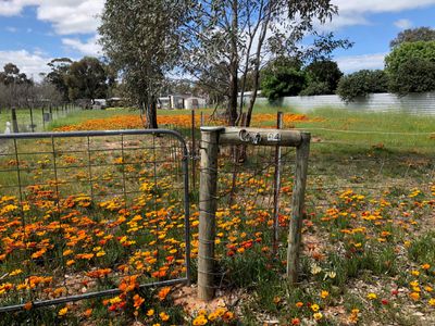 34 Market Street, Newbridge
