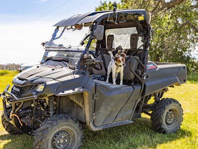 234 Top Road, Blackwood Creek