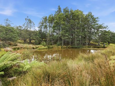 338 Dulcia Road, Gordon