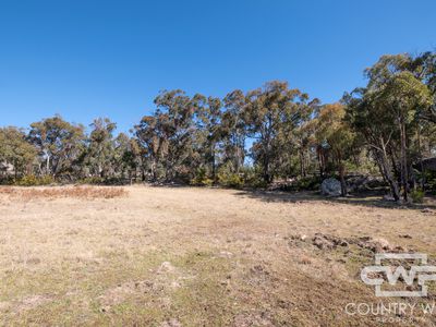 Lot 332, 41 Gilligans Lane, Torrington