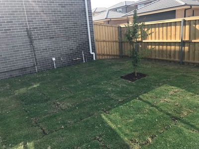 4 Buchan Avenue, Edmondson Park