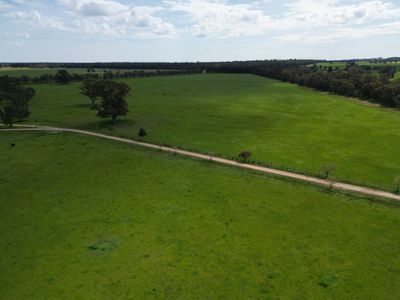 'Burnside' 1009 Howlong-Balldale Road, Balldale