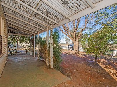 114 Wittenoom Street, West Lamington