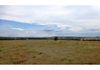 304 Norah Creek Road, Molong