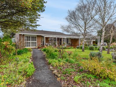 17 Adams Street, Donovans