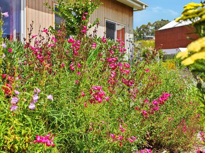 2 / 15 Station Road, Dover