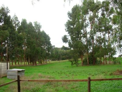 Lot 564 Springs Road, Glencoe