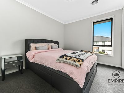 16 Domingo Avenue, Clyde North
