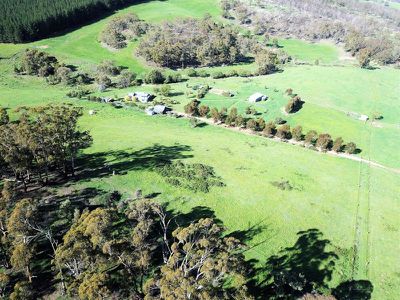 1615 Sunny Corner Road, Meadow Flat