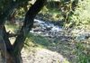 - Bowan Park Road, Orange