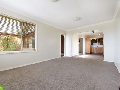 Mount Warrigal