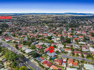 26 Excelsa Street, Sunnybank Hills