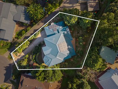 8 Nolina Court, Indooroopilly