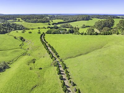 182 Punkalla Tilba Road, Central Tilba