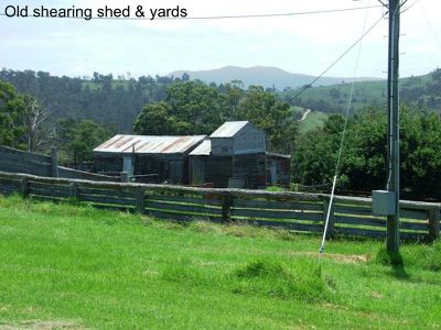 449 Sheepskin Road, Burragate