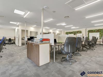 6 / 33 Tallebudgera Creek Road, Burleigh Heads