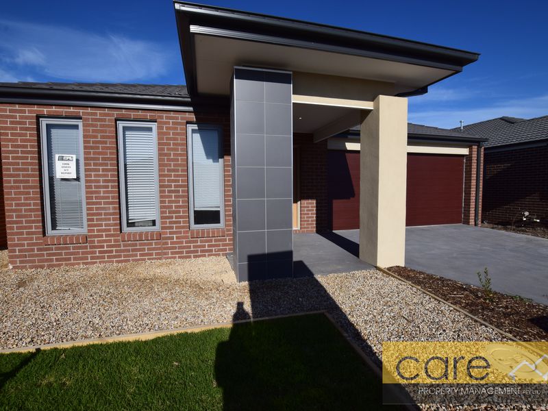 20 Swallowtail Avenue, Clyde North