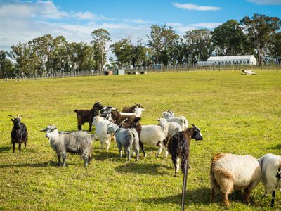 874 Cobargo Bermagui Road, Coolagolite
