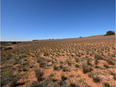 122 / East Front Road, Younghusband