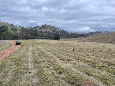 621 U T Creek Road, Alexandra