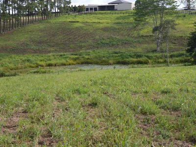 62 Burgess Avenue, Maleny