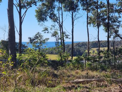 Lot 16, Mystery Bay Road, Mystery Bay