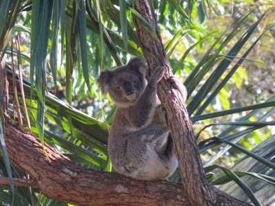 142 Wanganui Road, Wanganui