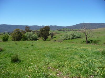 Egan Lane, Sandy Creek