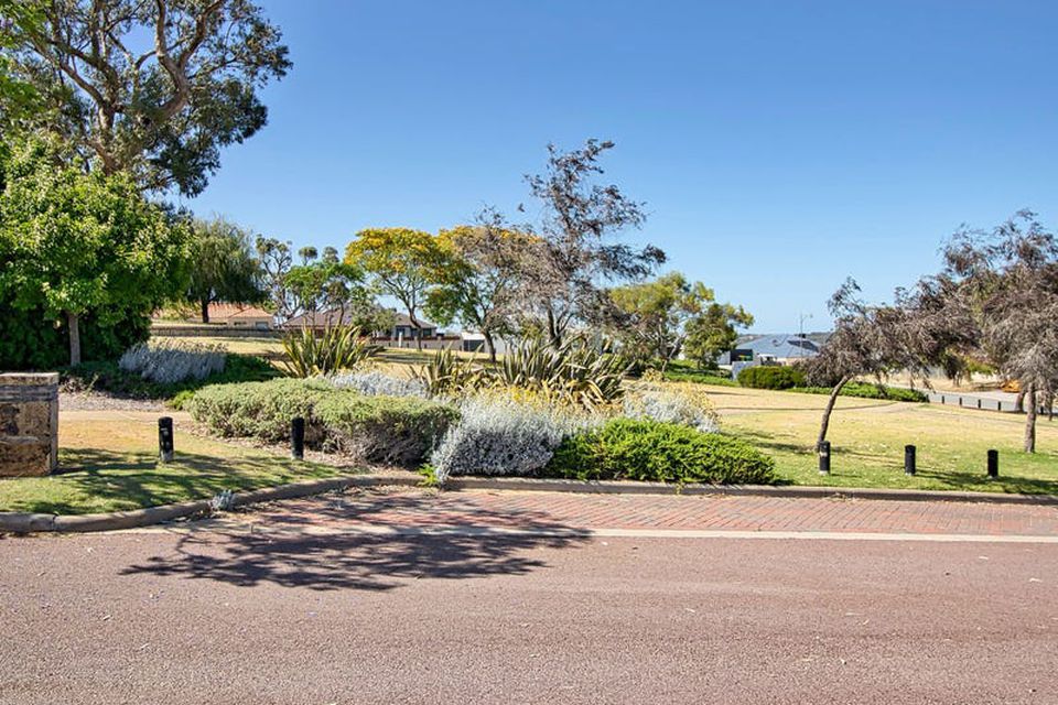5 Diamondbird  , Baldivis