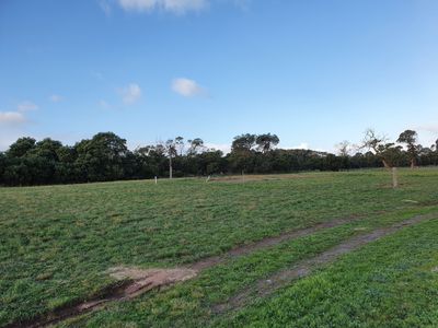 100 McIntyre Road, Millicent