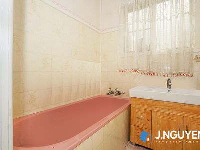 115 Malabar Street, Canley Vale