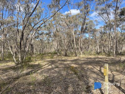 CA 37H Olympic Parade, Maiden Gully