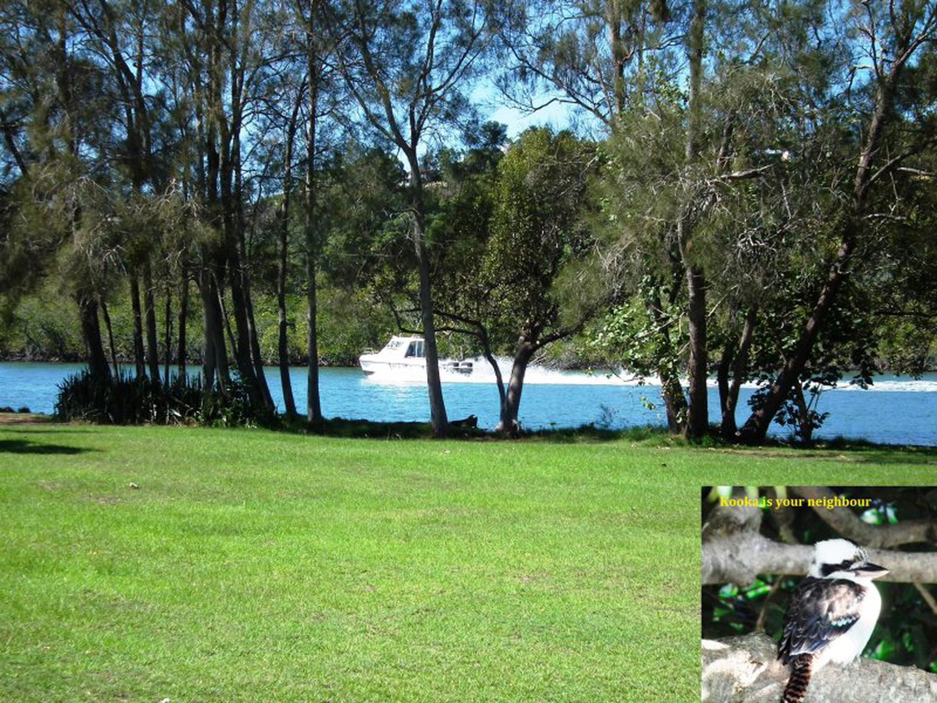 1 / 137 Sunset Boulevarde, Tweed Heads West