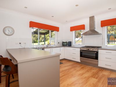 180 Woodward Heights, Hay