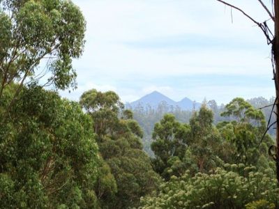 Huon Highway, Dover