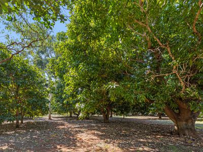 120 Kanagae Drive, Roebuck