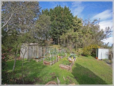 66 Palmer Road, Foxton Beach