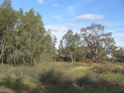 Appin