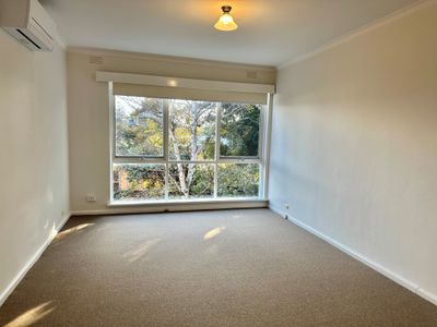 4 / 21 Merlyn Avenue, Clayton South